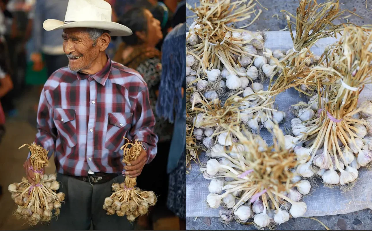 Garlic.webp