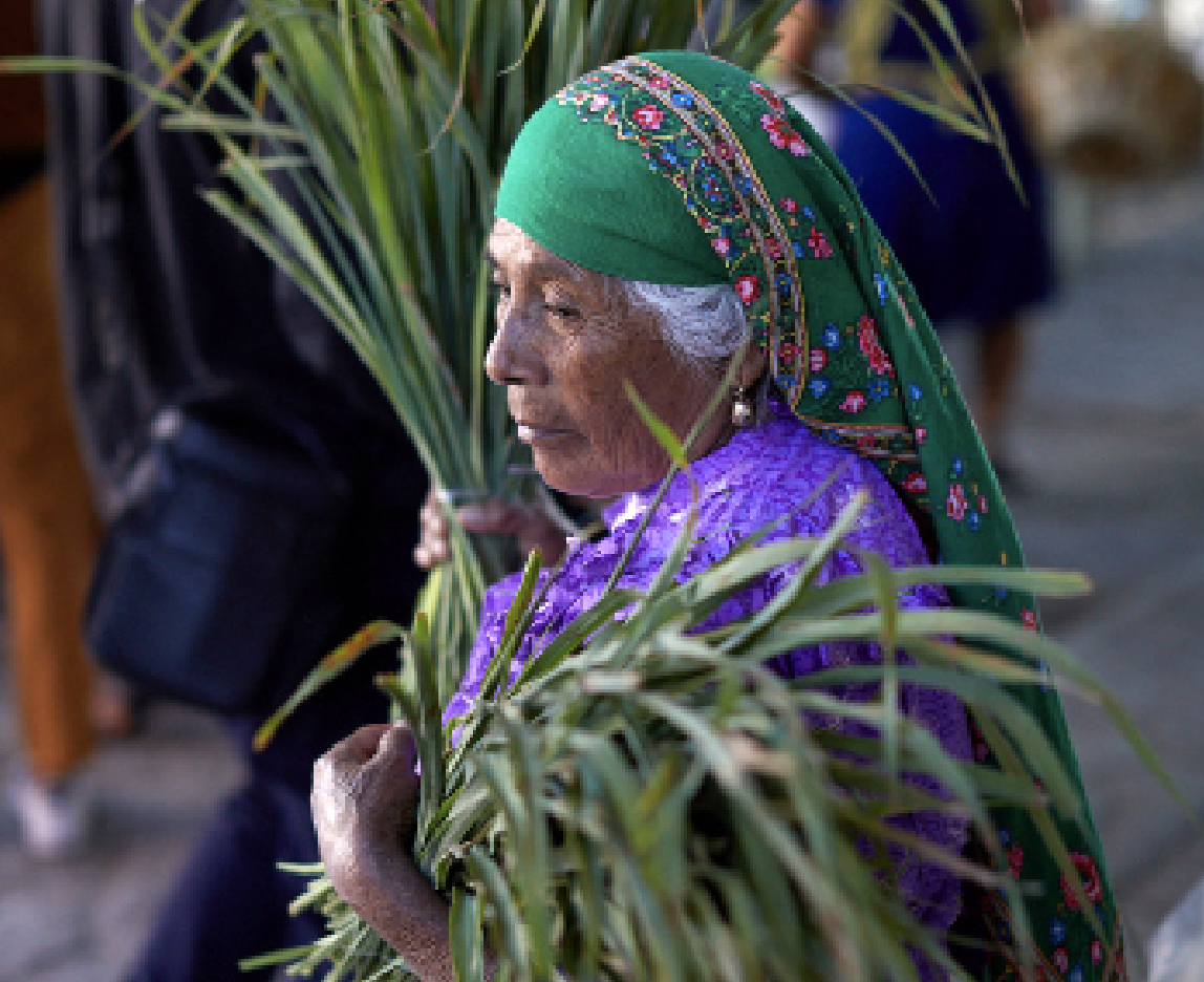 Elderly woman wearing a green headscarf with floral embroidery, purple traditional clothing, holding a palm leaf, in a cultural setting.