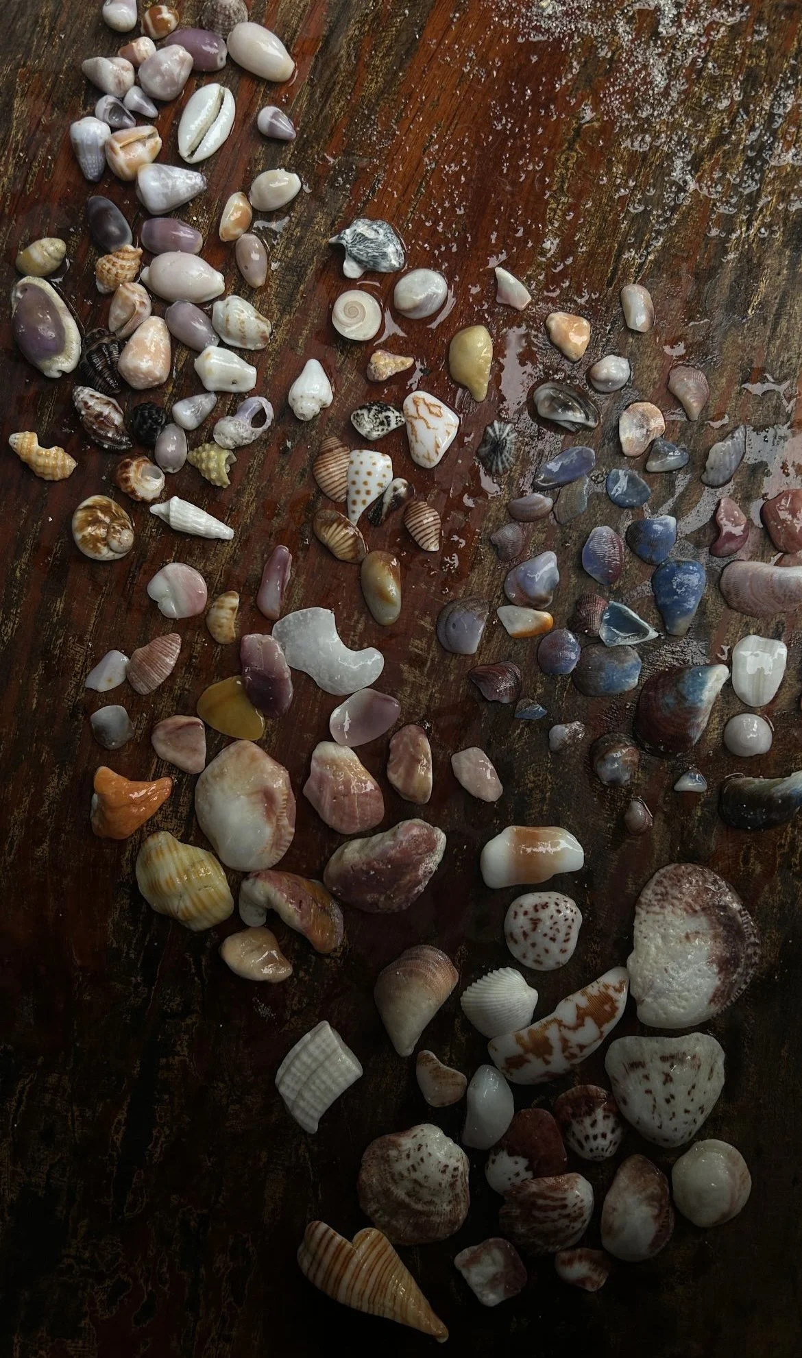 Koh Yao Noi, Thailand