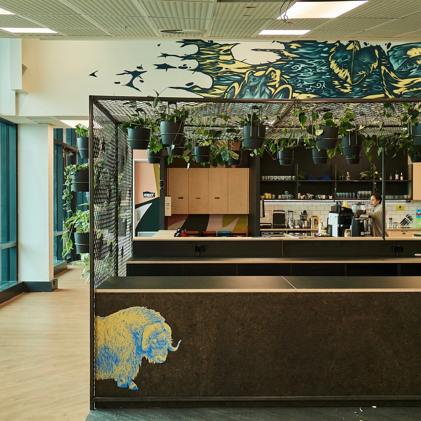 Modern indoor coffee shop with hanging potted plants, a painted buffalo on the front counter, and a barista preparing drinks in the background.