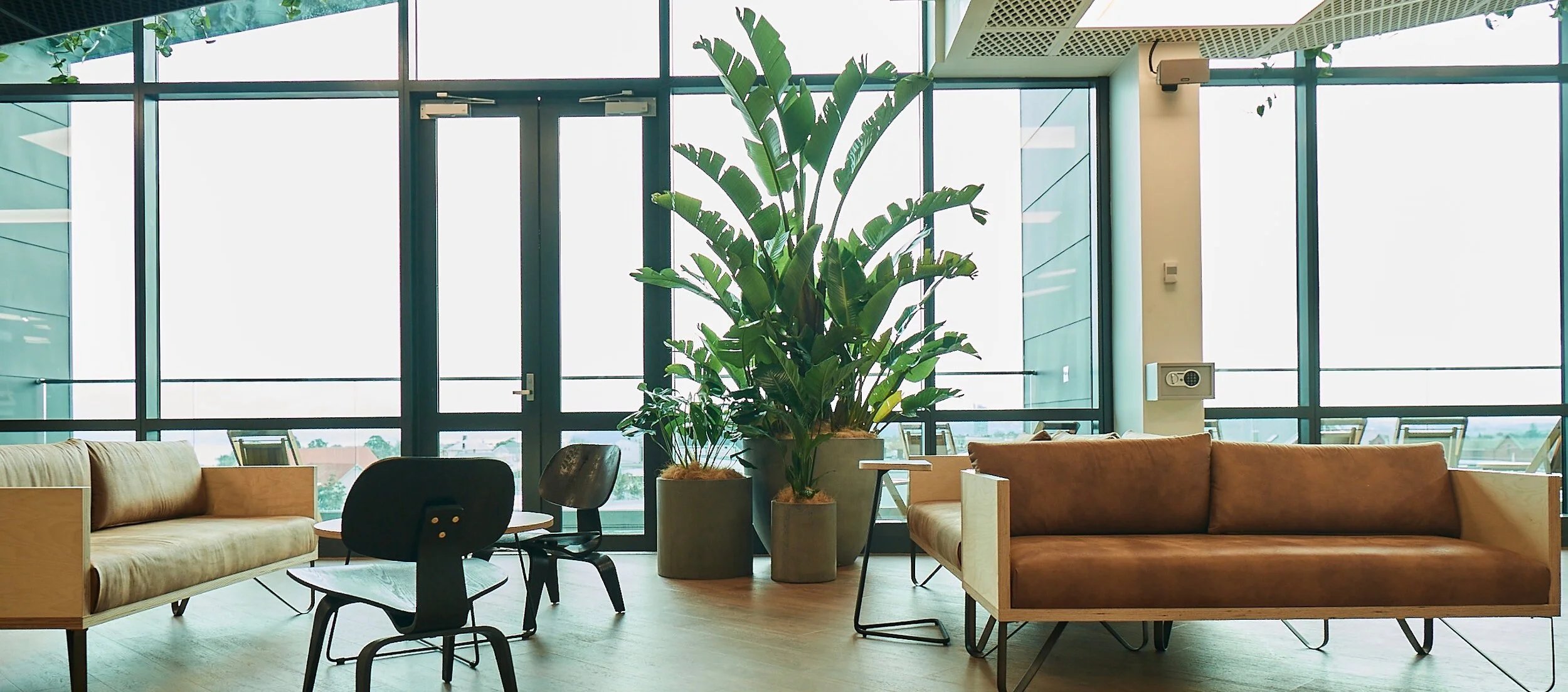 Modern indoor lounge area with beige and brown sofas, black chairs, large potted plants, and floor-to-ceiling windows.