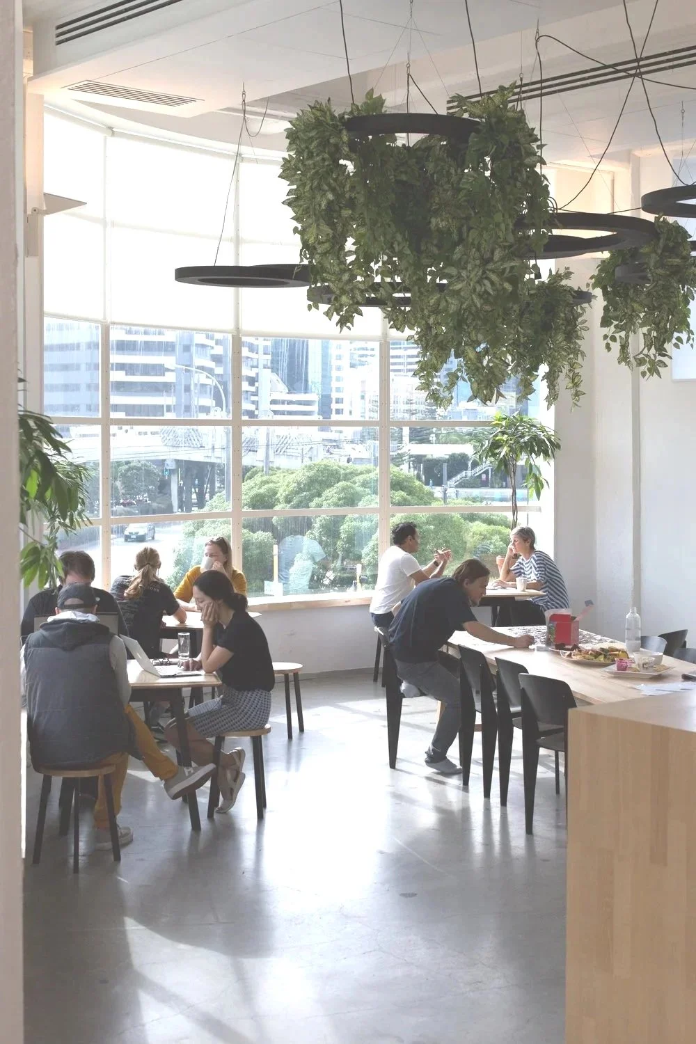 People sitting at tables in a modern, sunlit cafe with large windows and hanging greenery.