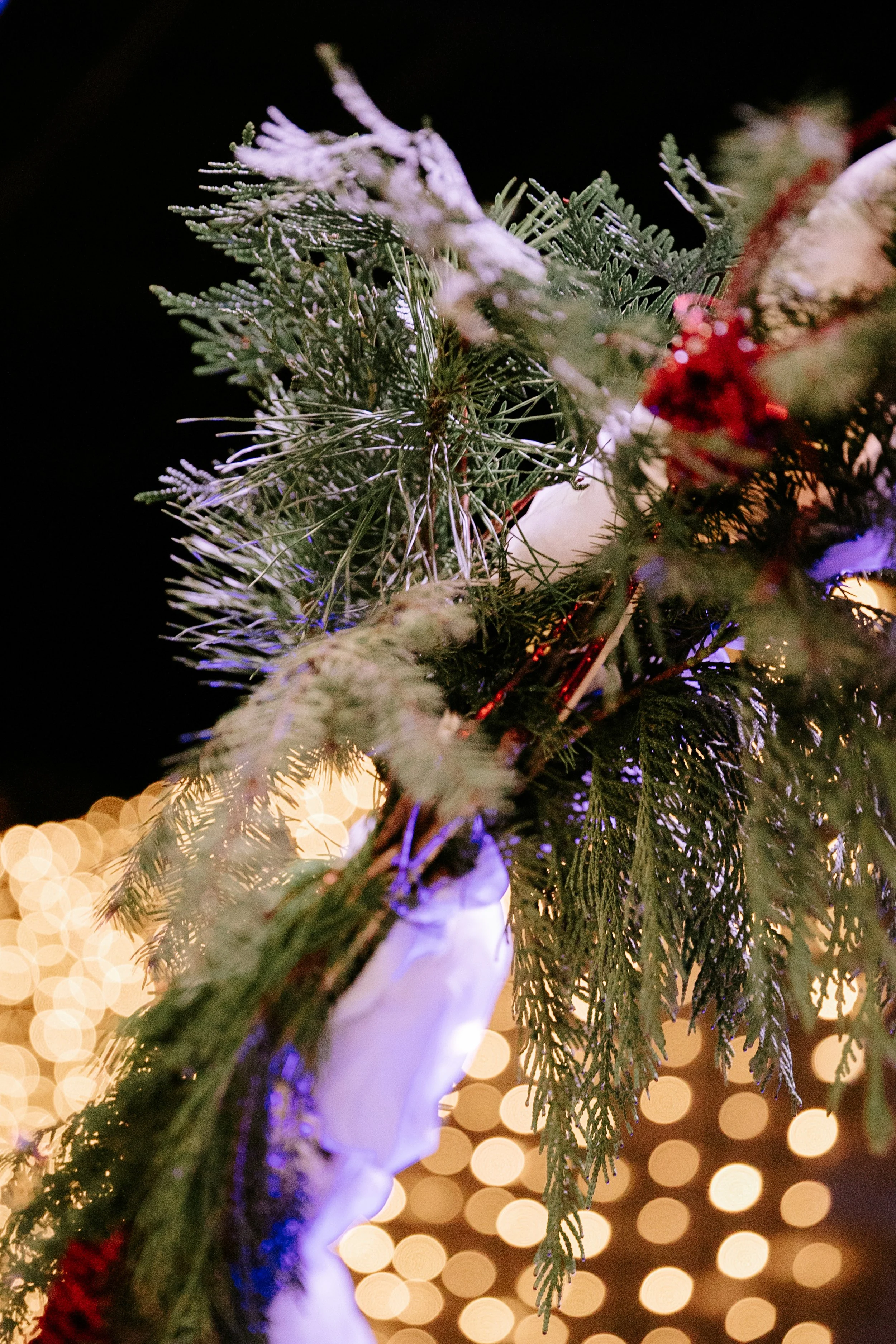 Grace & Corey Wedding-002.jpg