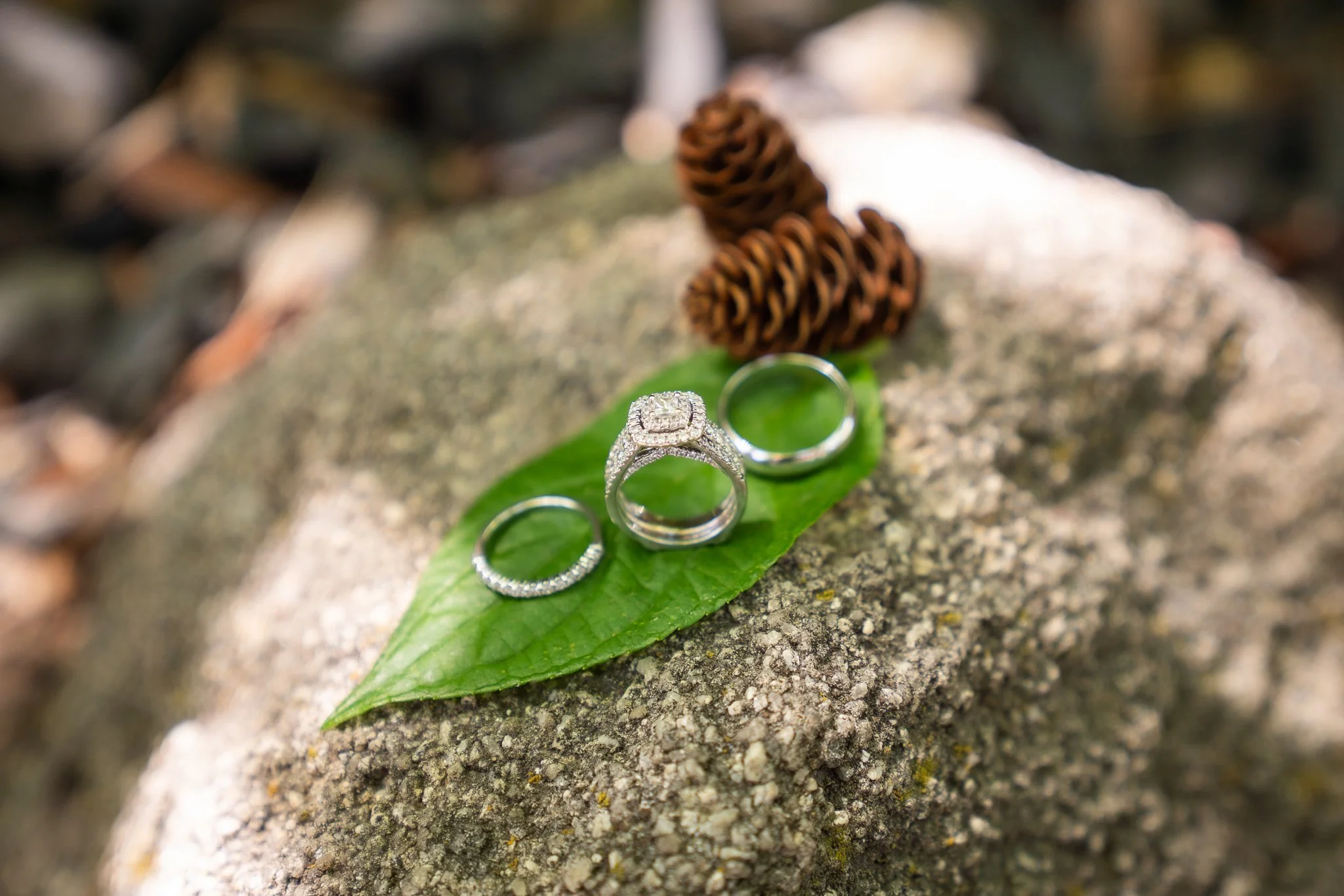 Tabita & Nathan Wedding-426.jpg