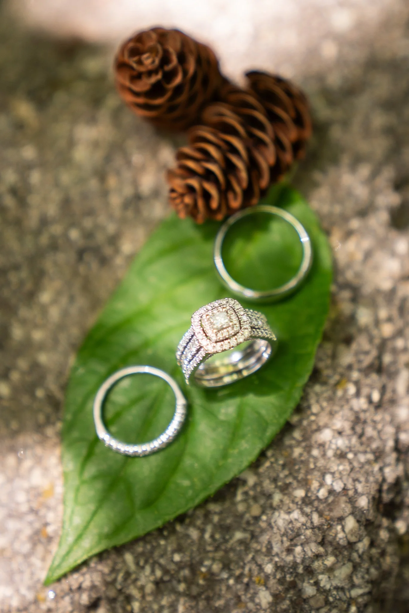 Tabita & Nathan Wedding-029.jpg