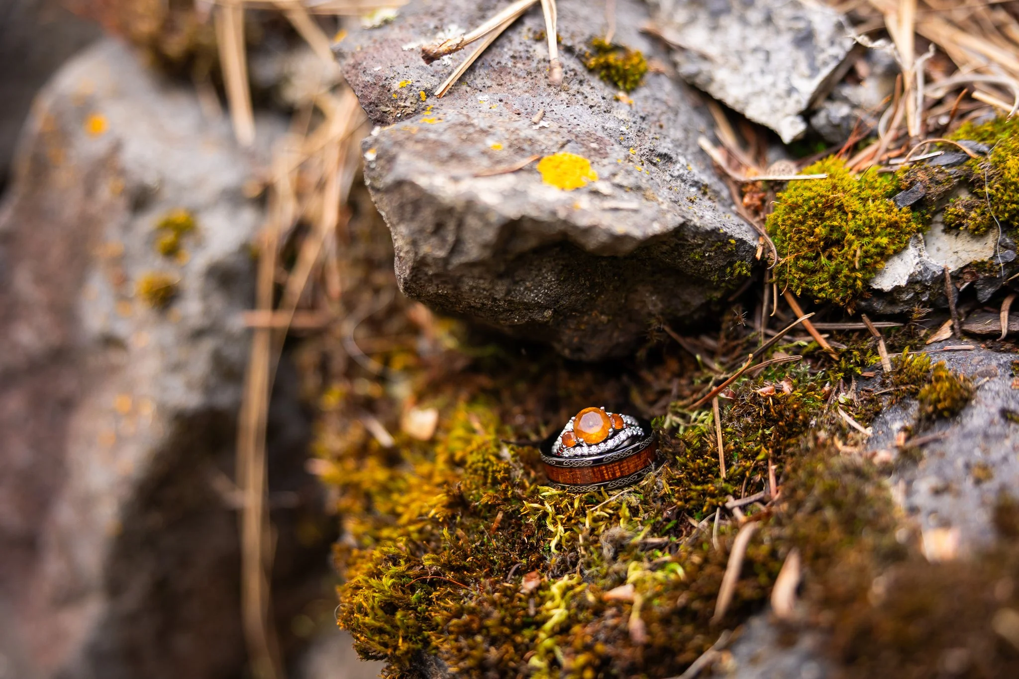 Cynthia & Mark Preview-16.jpg