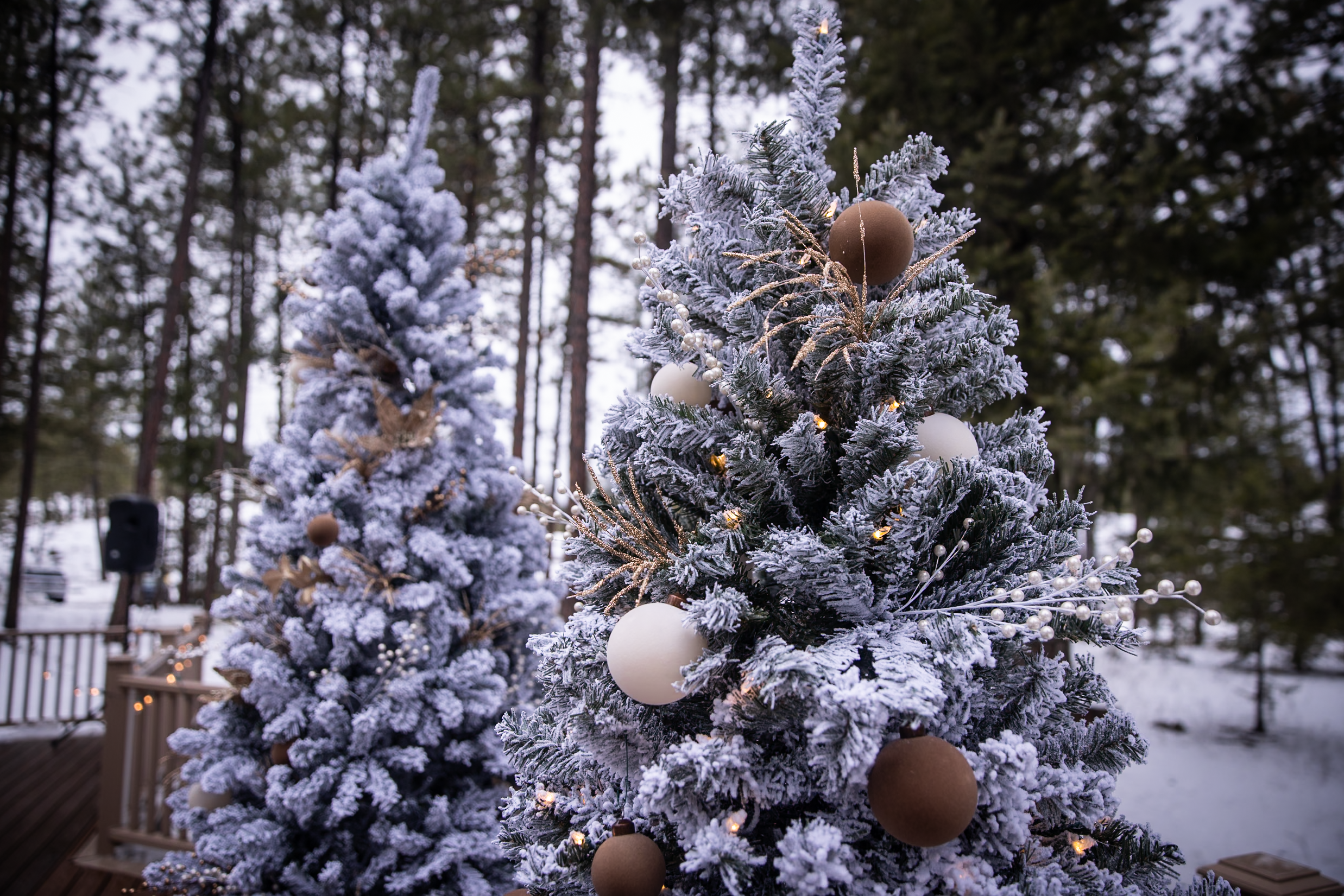 Emily & Austin-116.png