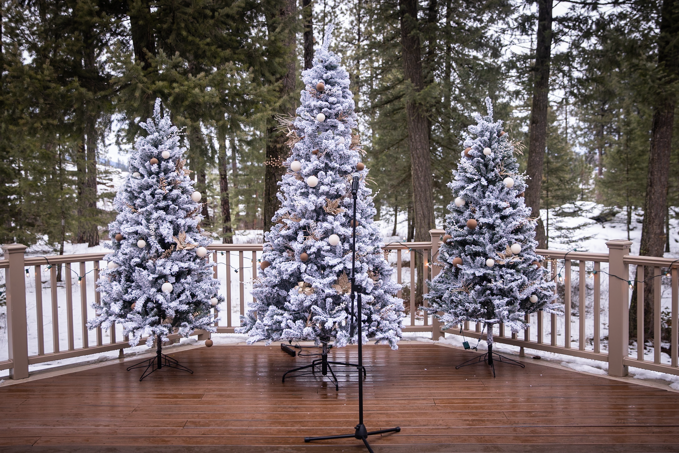 Emily & Austin-112.png