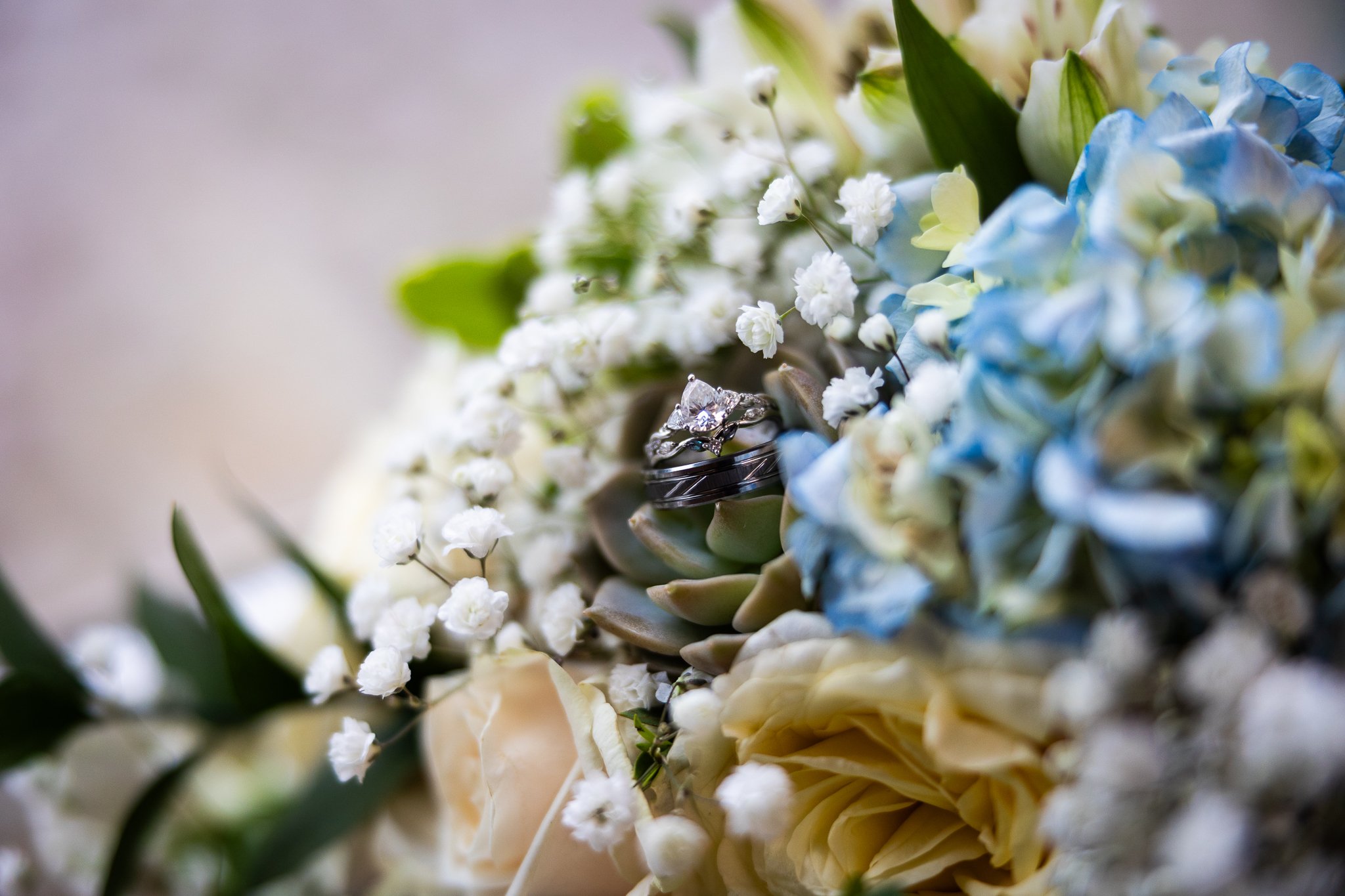 Kailey & Daniel Preview-01.jpg