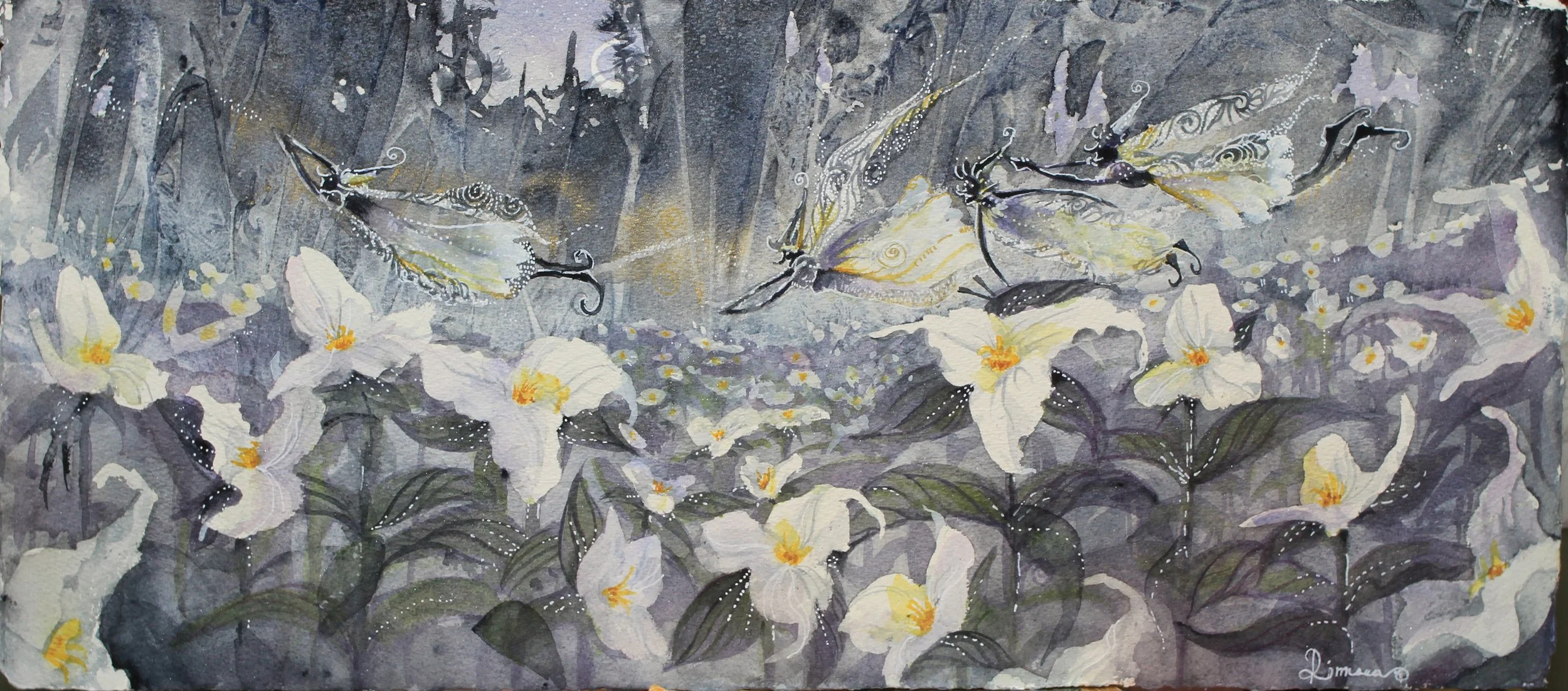 Trillium Dream.jpg