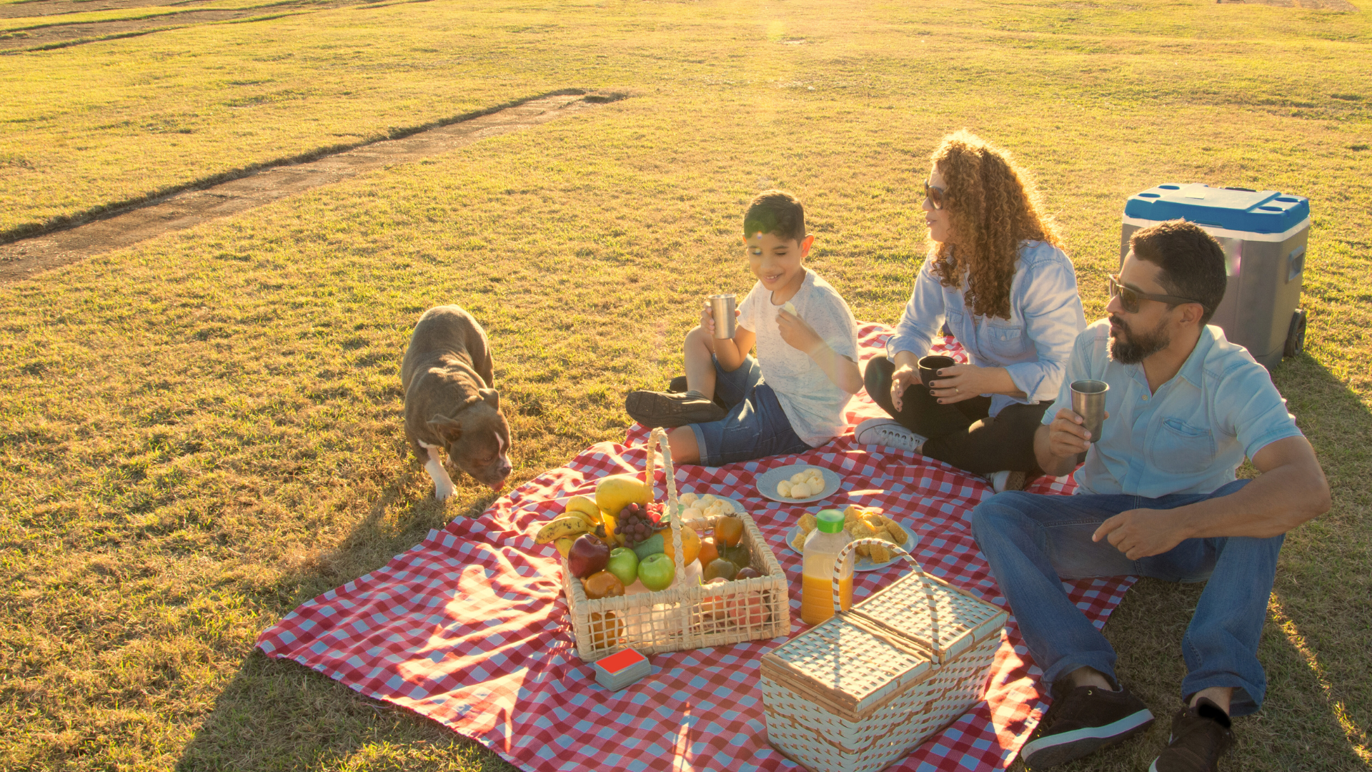 a family and their dog having a picnic under the sun