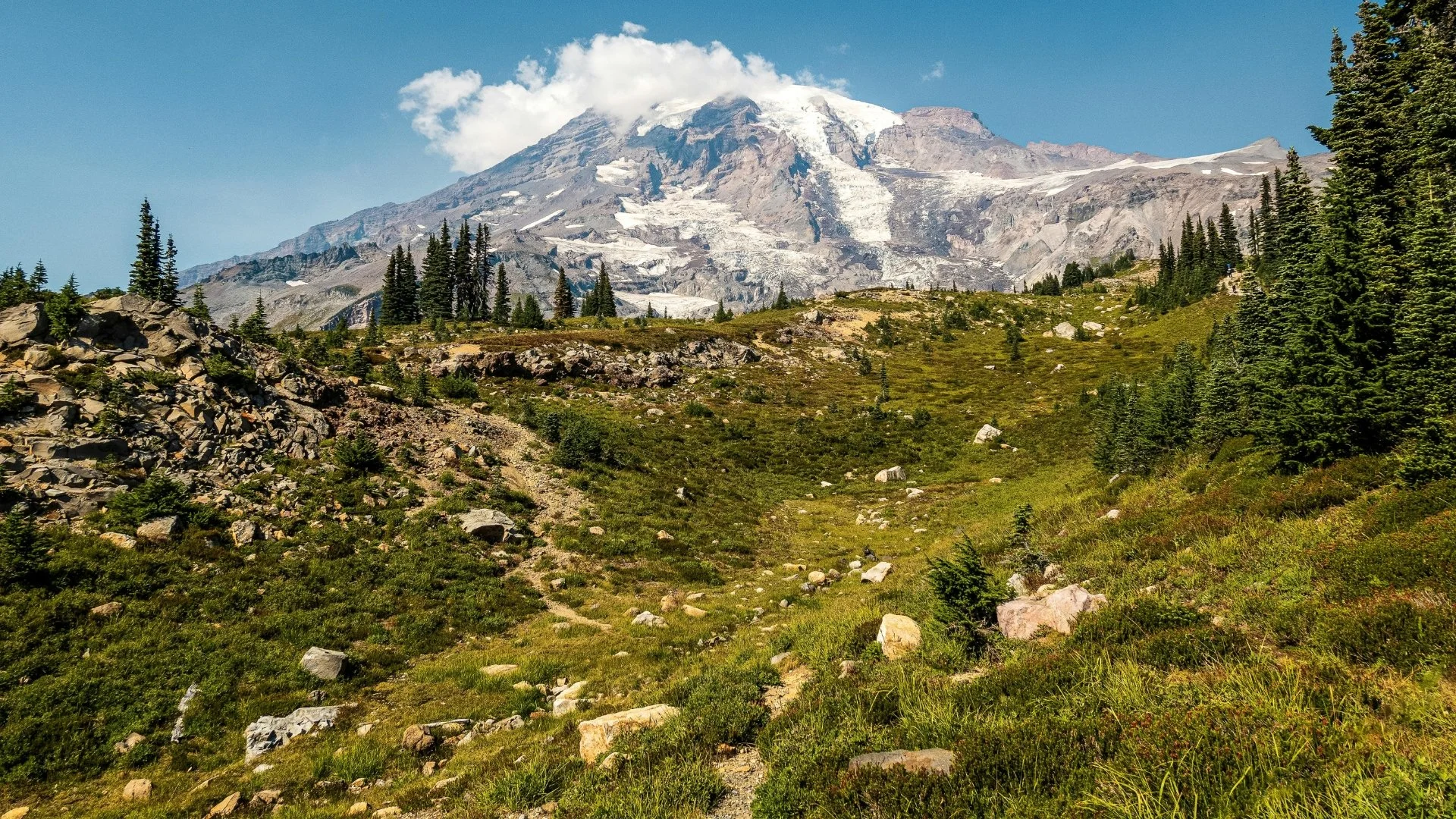 Discover Puget Sound's Top Parks: Nature's Beauty Awaits in Seattle and Beyond!