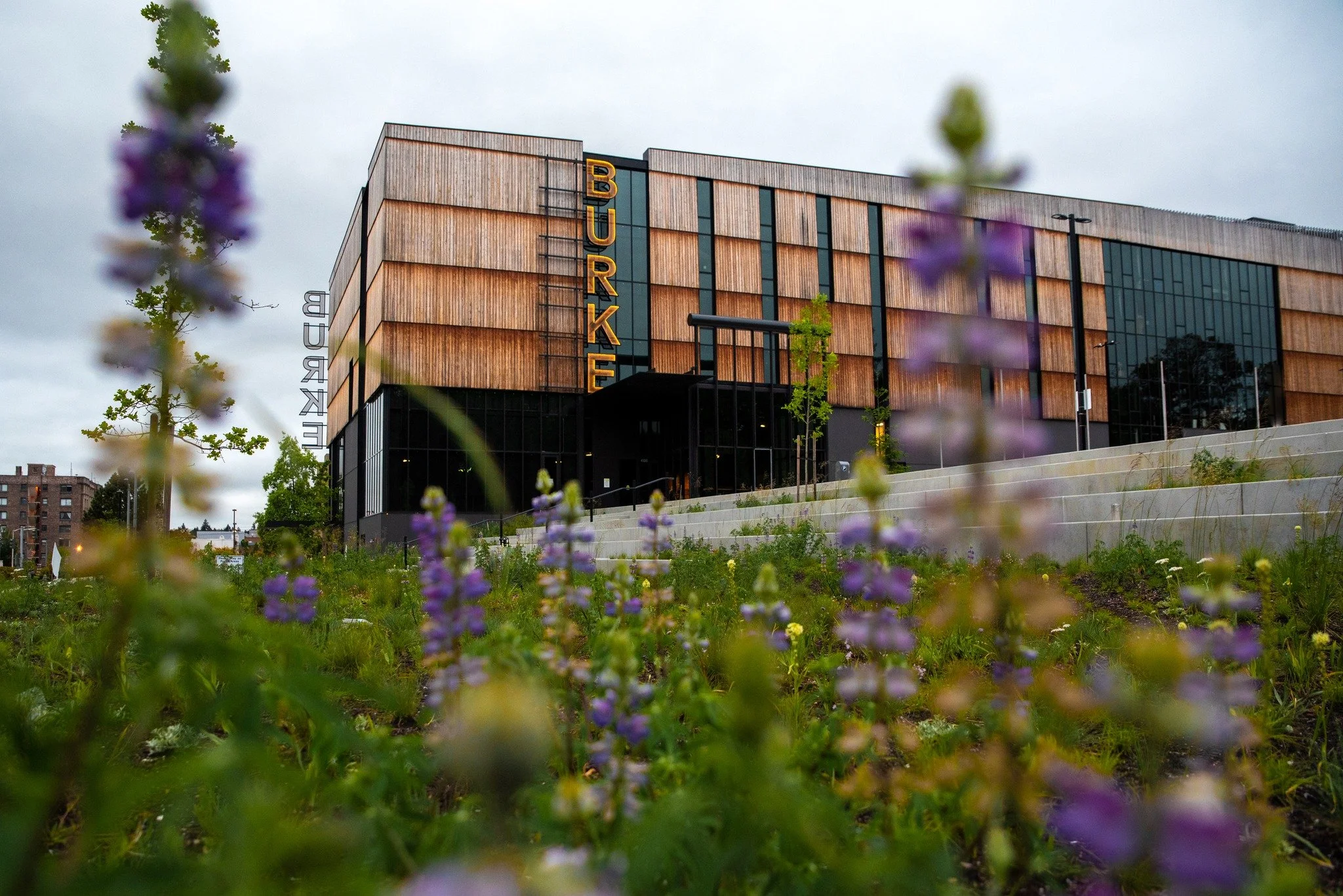 Explore Puget Sound's Renowned Museums: A Journey Through Art, Science, and History