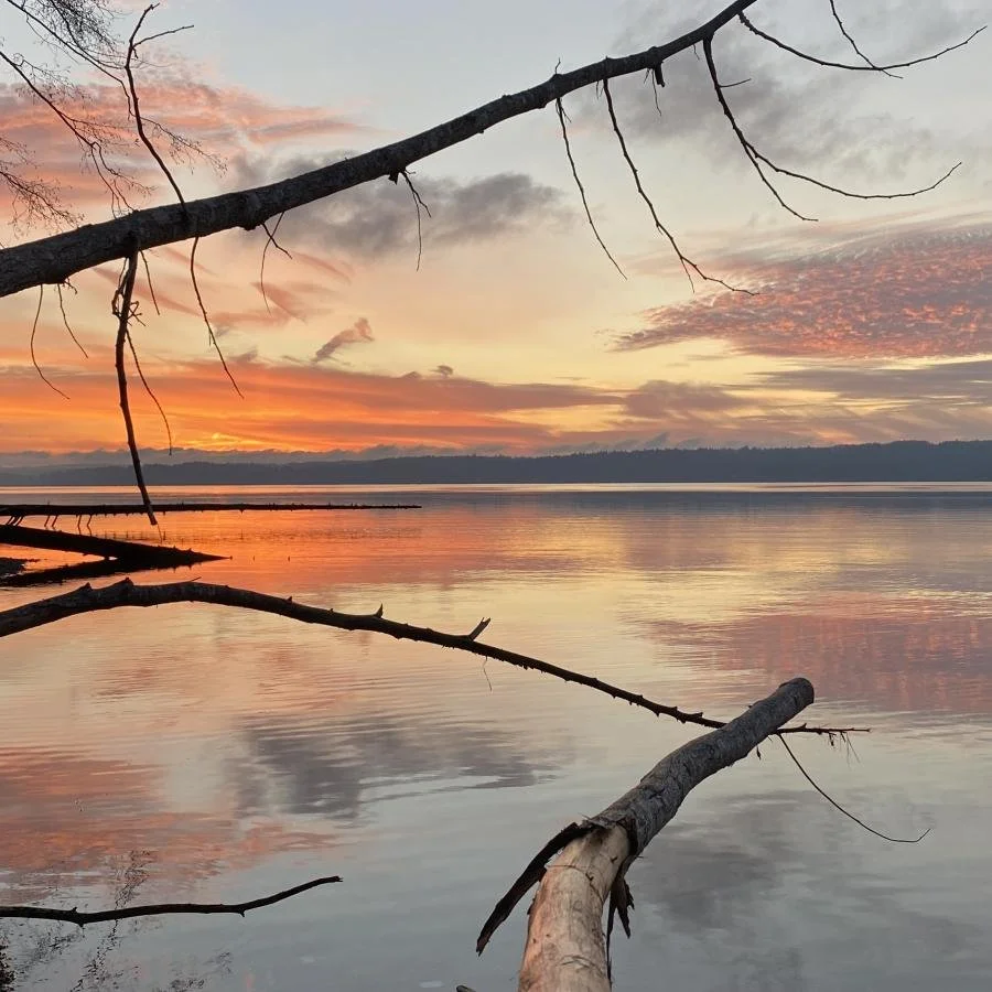 Top 20 Best Camping Sites in the Puget Sound Region