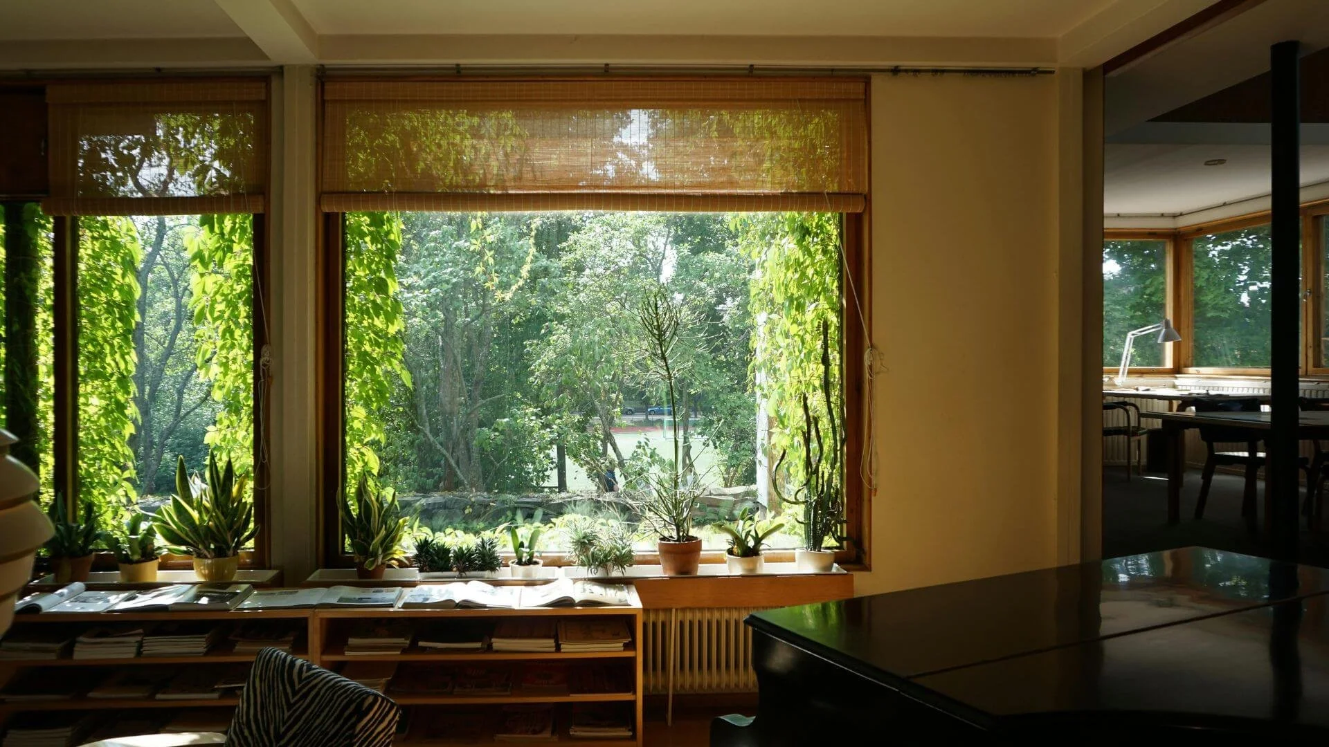 Empty Nesters: Reimagining Home for a New Season