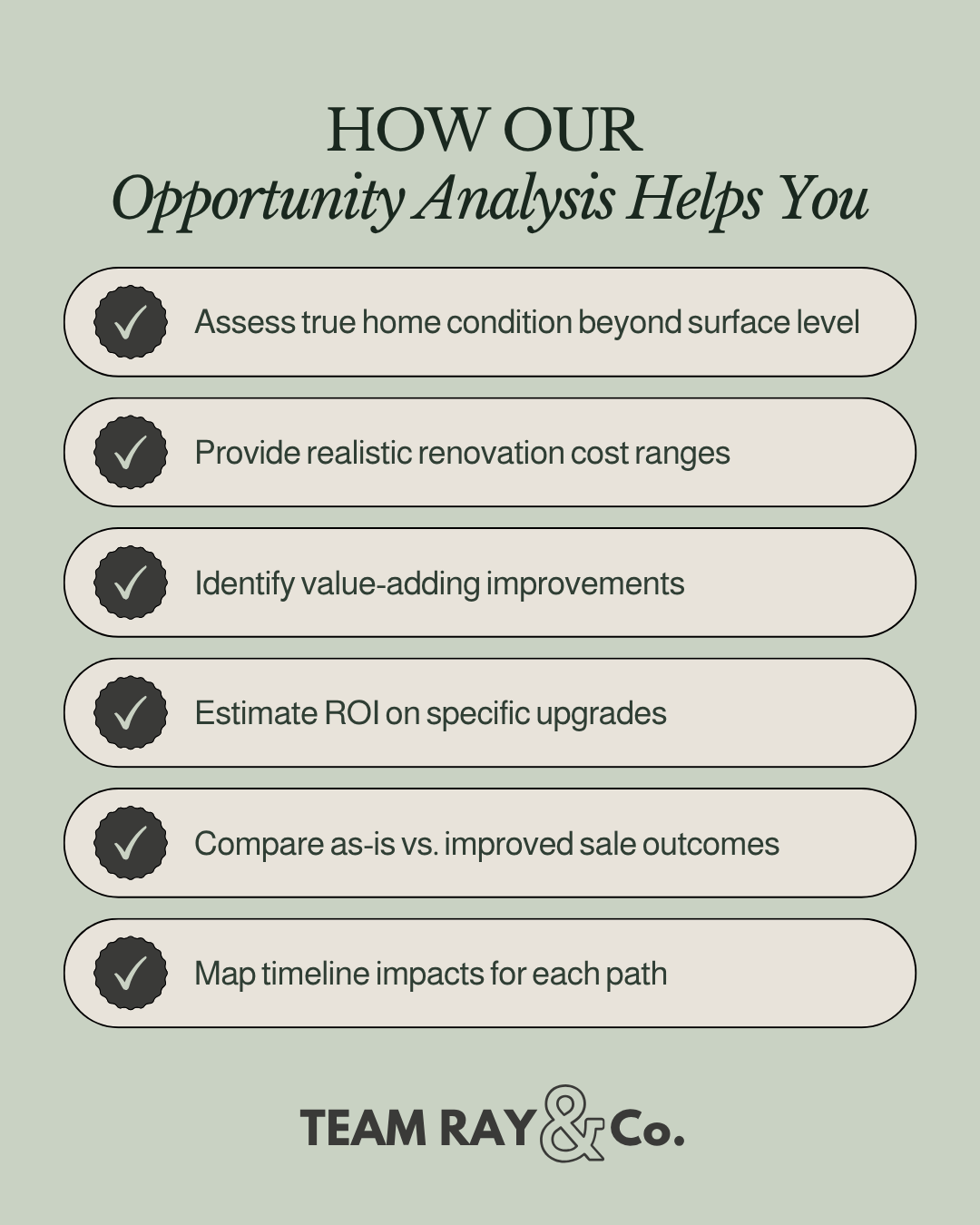 How Our Opportunity Analysis Helps You text graphic