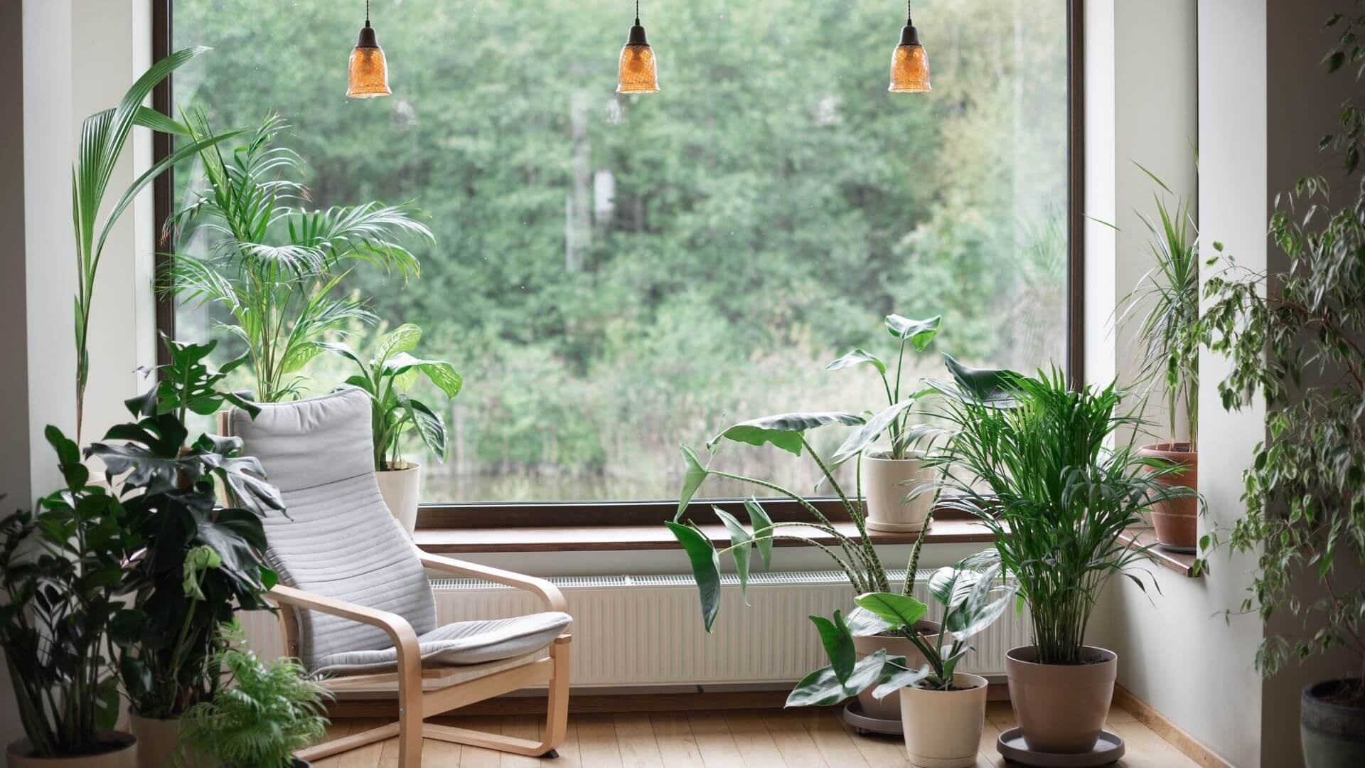 The Nature of Value 5 Biophilic Design Features That Increase Home Value