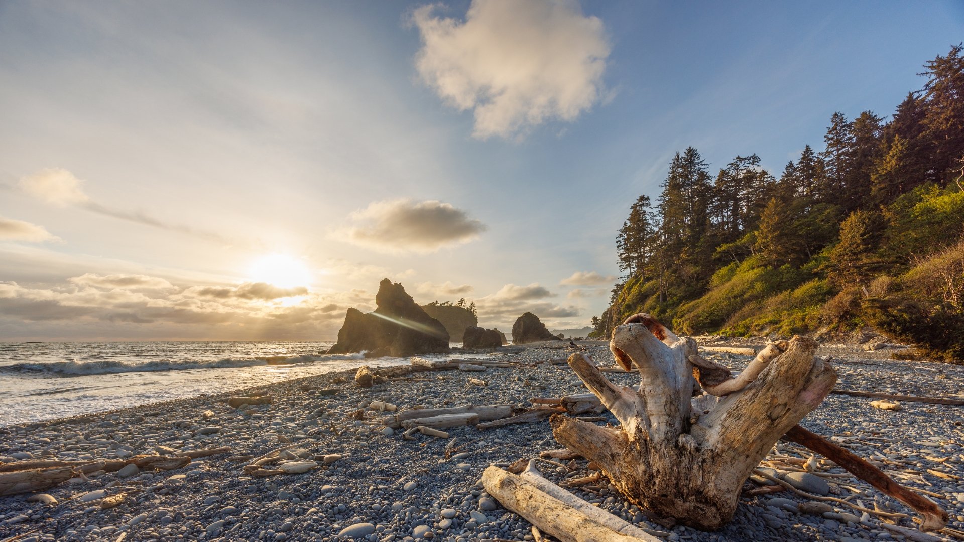Olympic National Park