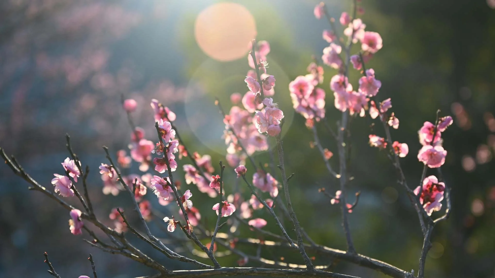 Spring Renewal Embracing Easter and Khmer New Year 2026 Without Pressure Blog Header.jpg