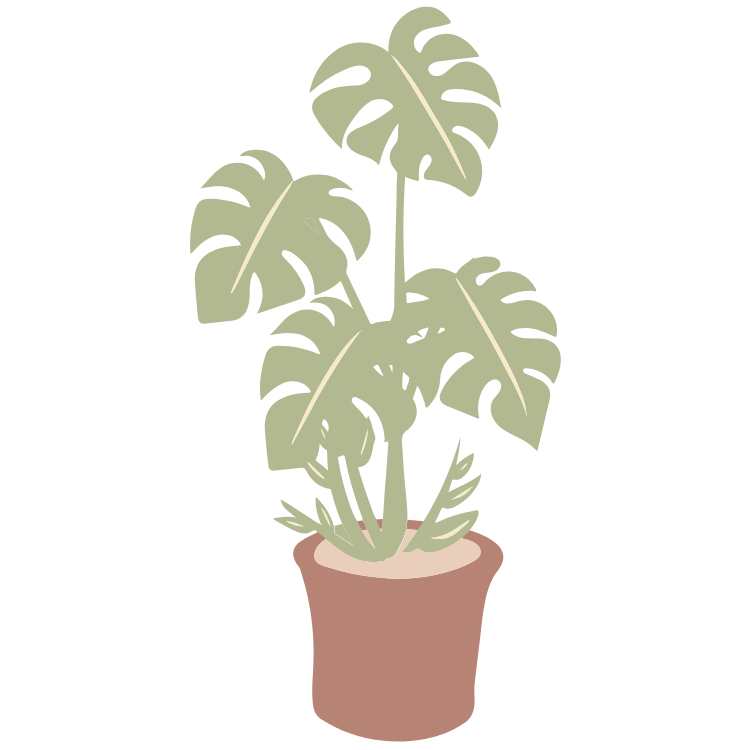 elegant house plant graphic