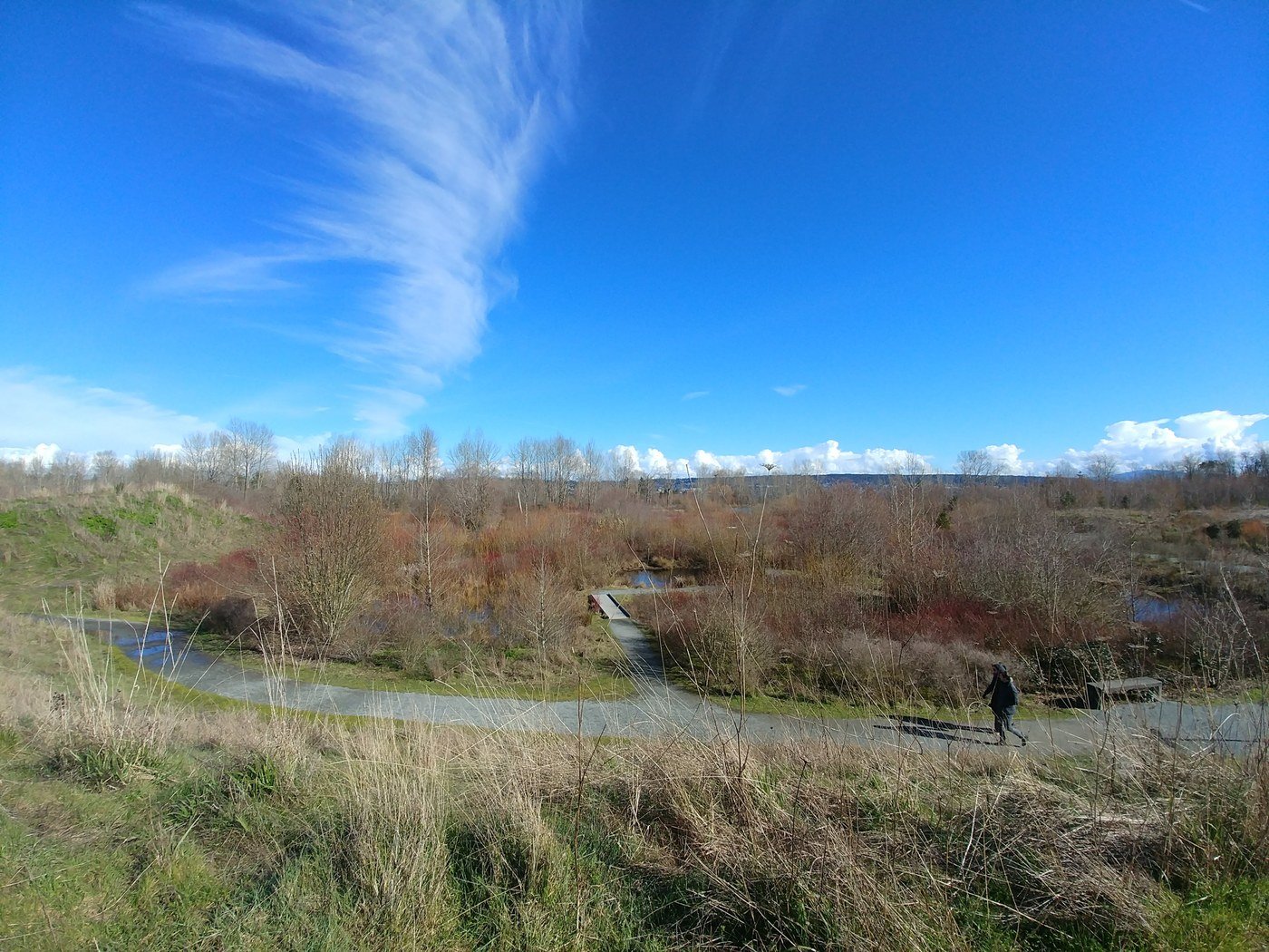 Warren G. Magnuson Park Trails
