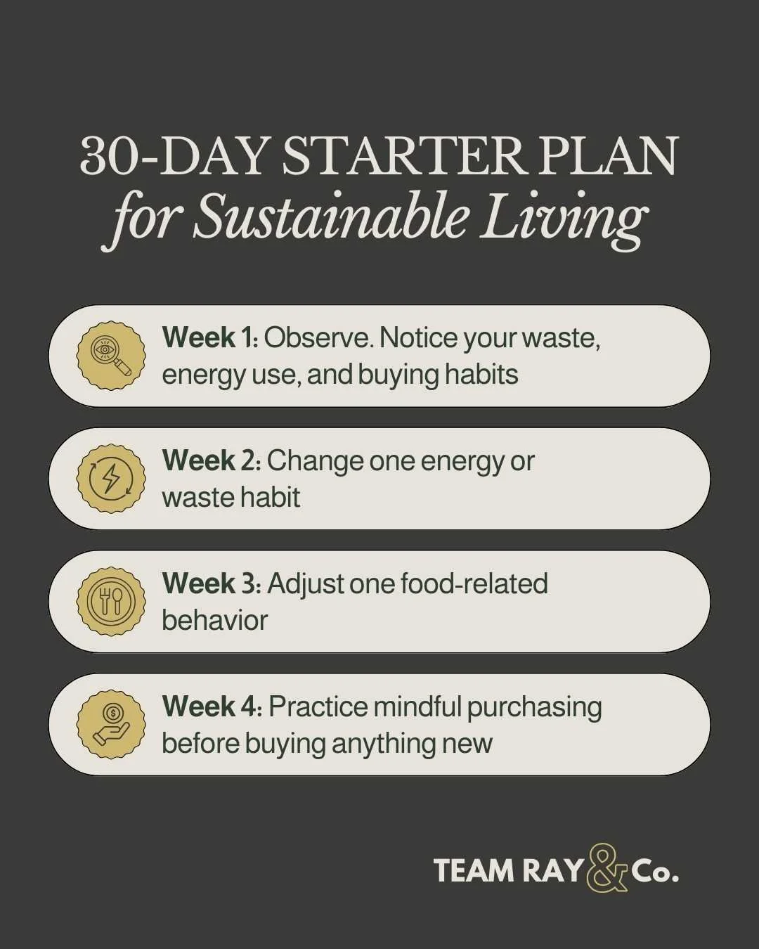 A Simple 30-Day Starter Plan for Sustainable Living Graphics