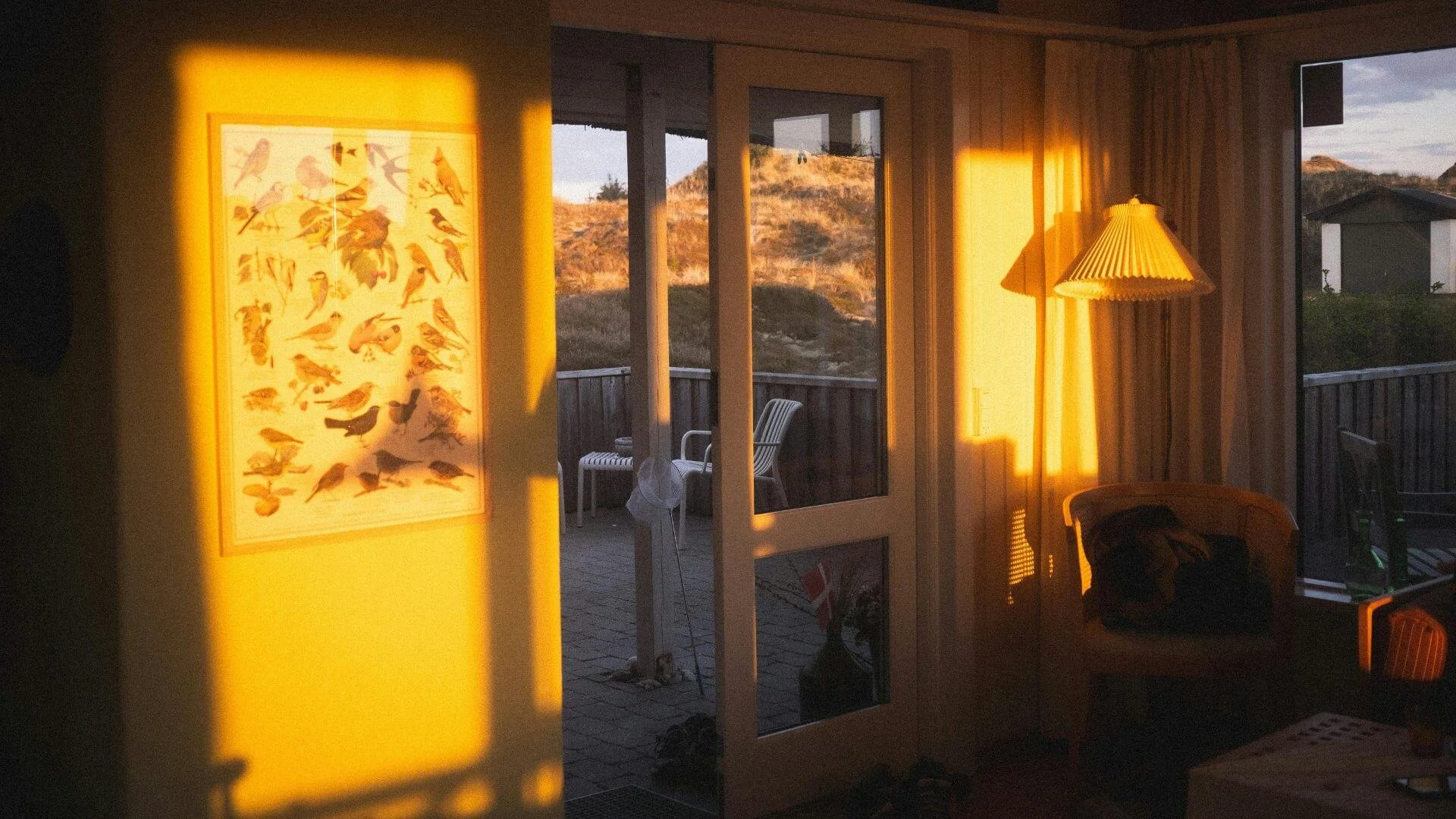 The Psychology of Sunshine How Natural Light Impacts Buyer Emotion Cover Photo