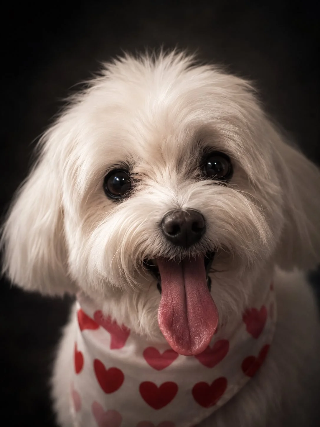 At Whiskers, we don&rsquo;t just do grooming &mdash; we create experiences.We take pride in providing professional, caring, and high-quality service, paying attention to every detail for your pet&rsquo;s comfort and well-being.

Professional in custo