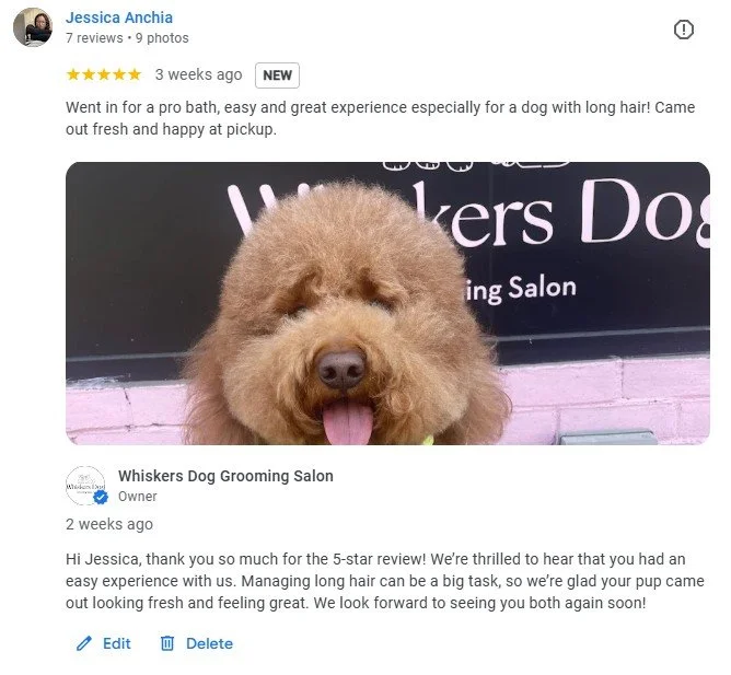 Whiskers Dog Grooming Salon work 4