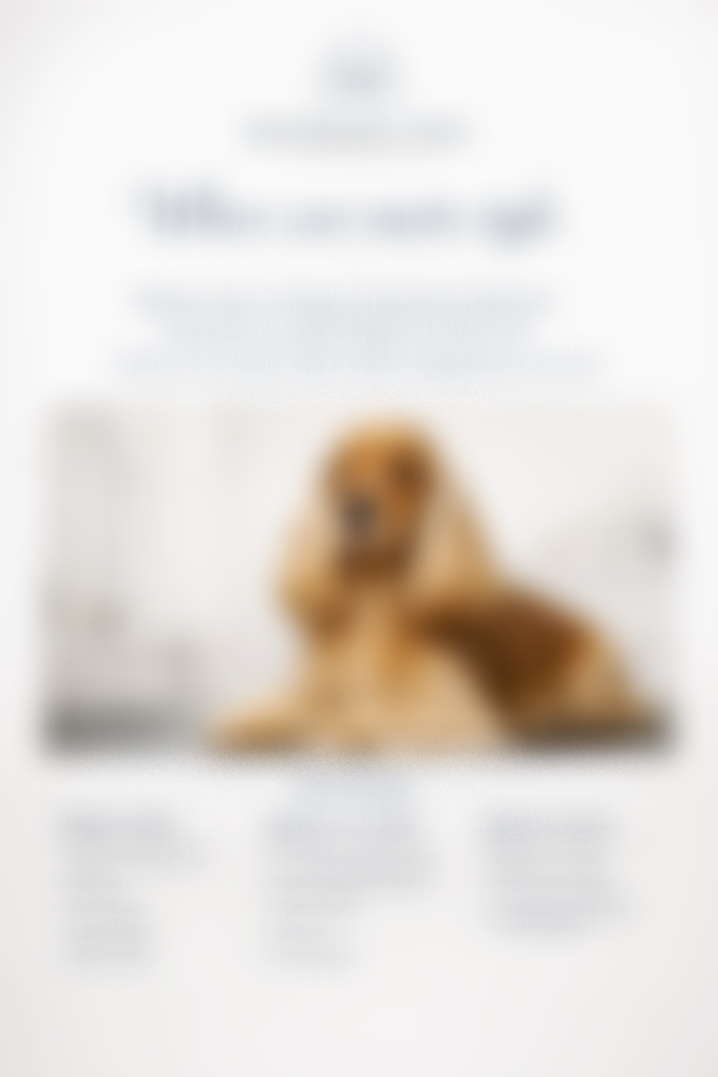 A support dog helping a person to read a book.