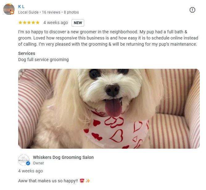 Whiskers Dog Grooming Salon work 2