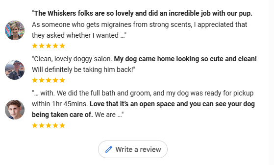 Screenshot of dog grooming and pet care reviews, highlighting positive customer feedback.