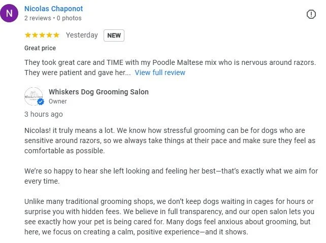 Customer reviews of Whiskers Dog Grooming Salon, highlighting a positive experience and satisfaction with grooming services for their dog.