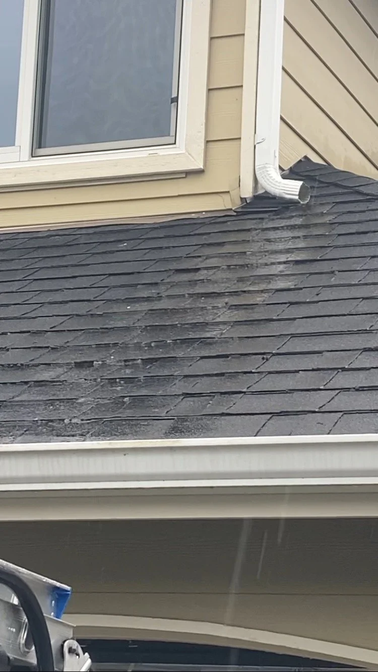 Close-up of a house's roof with black shingles, showing dirt and debris, with part of a beige house wall, window, and white gutter visible.