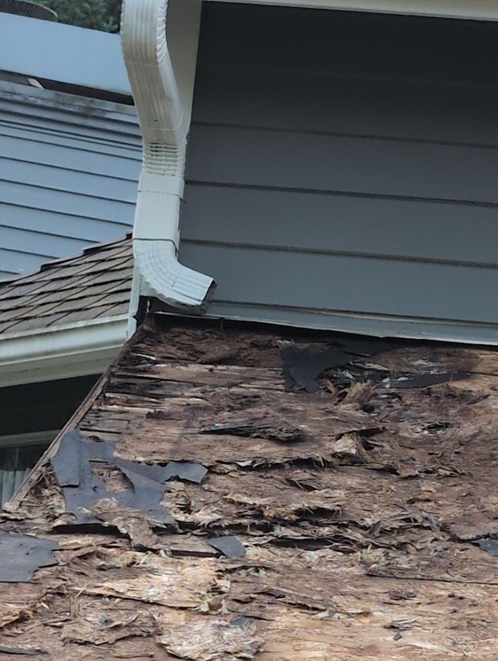 Rot damage under the Downspout