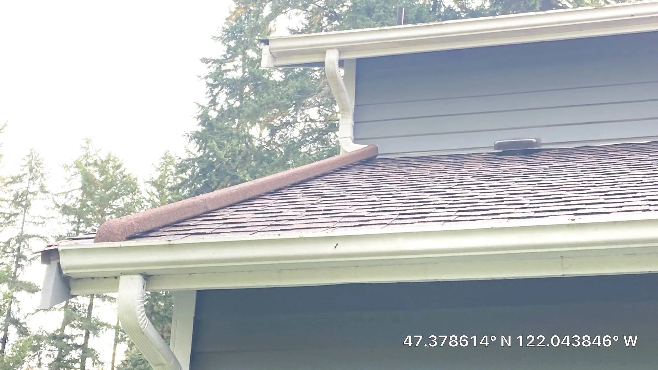 Close-up of a house's roof with brown shingles, white gutter system, and blue siding, with trees in the background, latitude 47.378614° N and longitude 122.043846° W.