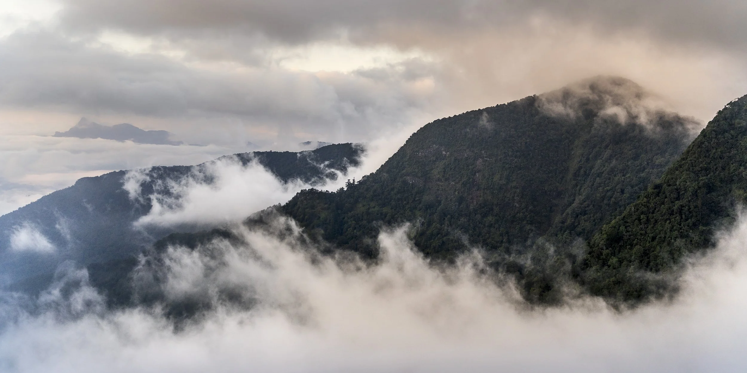 WhitneyInnesHill-Creative-Nature_S05-0173_16062019_60x30cm.jpg