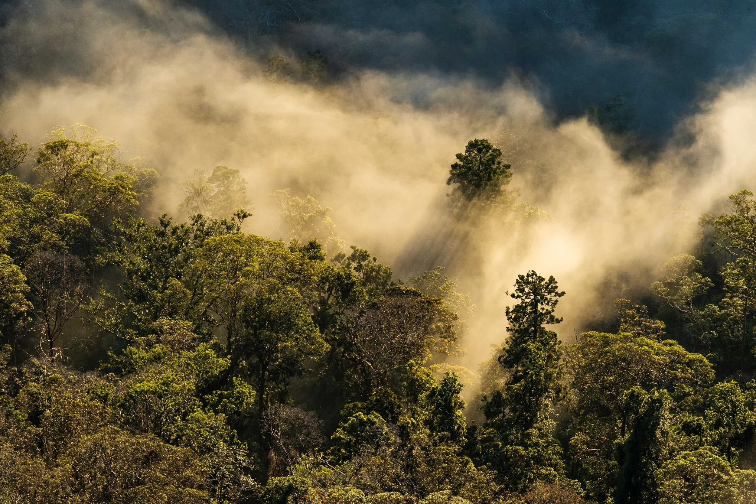 WhitneyInnesHill-Creative-Nature_S014-245_091221 copy.jpg