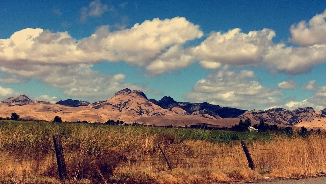 FullSizeRender 18.jpeg