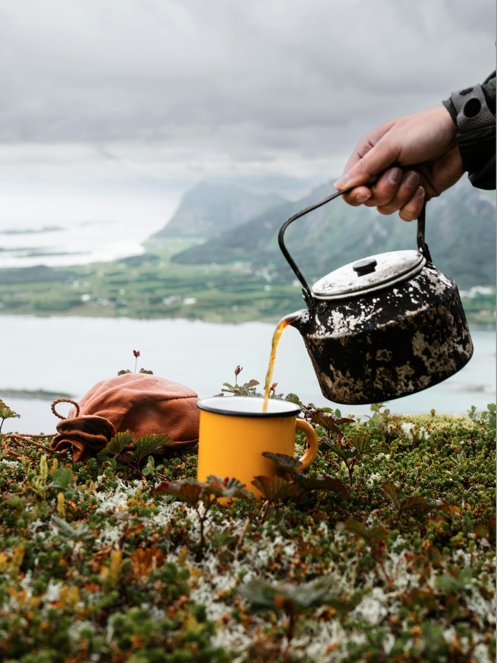 Breathe Easy Basecamp  Herbal Loose Leaf Tea