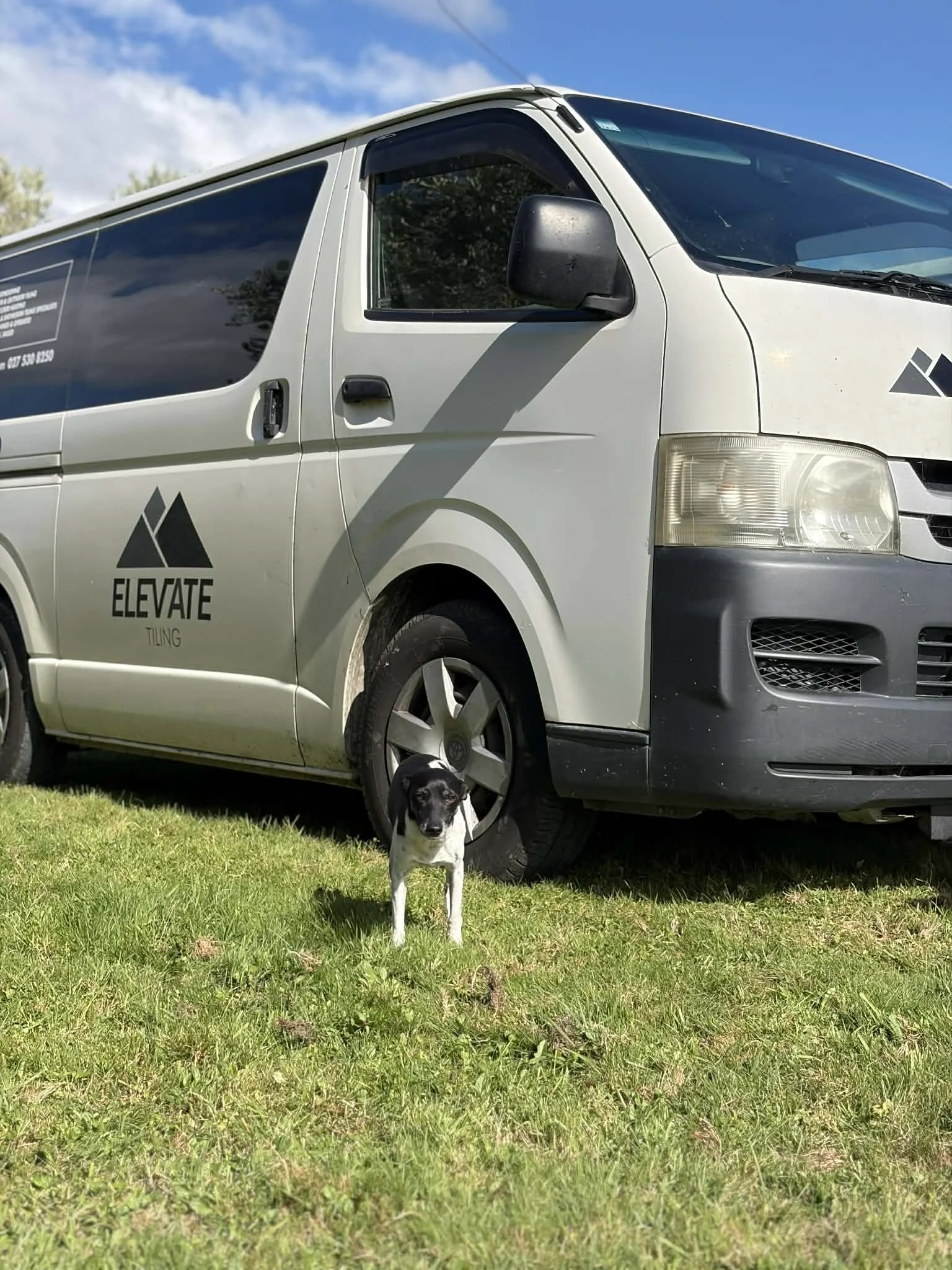 A small black and white dog with one ear upright and the other flopped down lying on grass in a park or meadow with hills, trees, and a partly cloudy sky in the background.