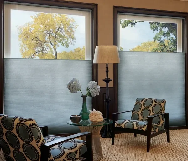 Hunter Douglas Duette Honeycomb Shade with top-down, bottom-up feature.  Fabric is light filtering.