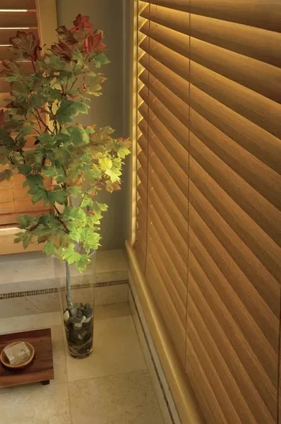 A potted plant with green and red leaves next to wooden window blinds, with a small wooden tray holding a bowl on the floor.