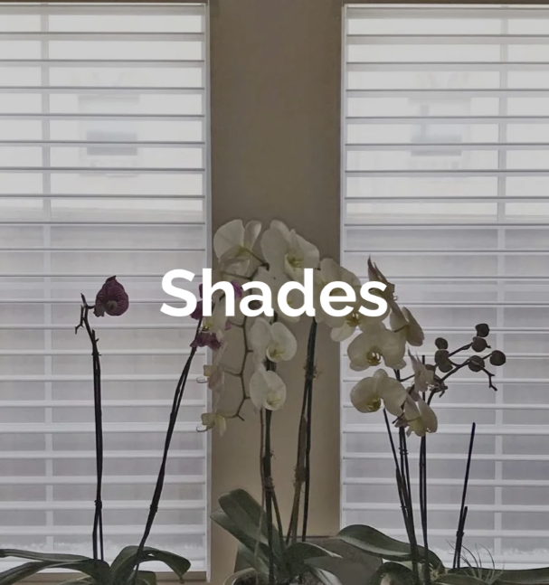 A window with Hunter Douglas Silhouette Shading with PowerView motorization, Originale Quartette 4" Radiant White.