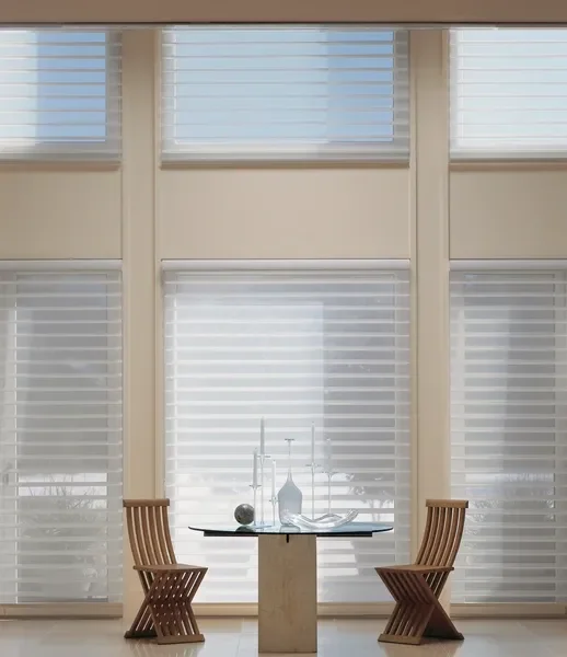 Hunter Douglas Shade with PowerView motorization.