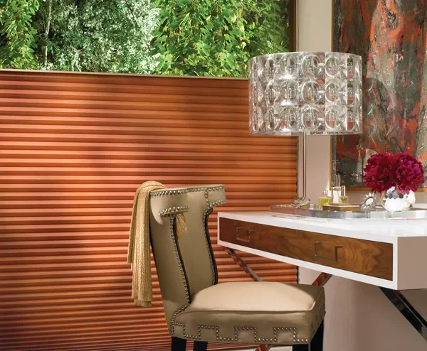 Hunter Douglas Duette Honeycomb Shade with top-down, bottom-up feature and PowerView motorization or LiteRise cordless option.  Fabric is light filtering.