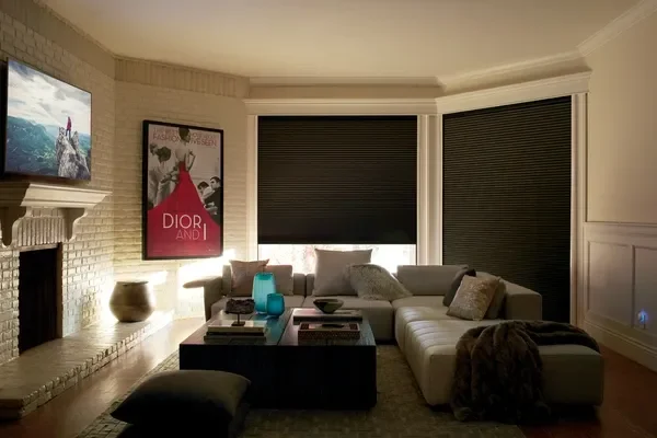 Hunter Douglas Duette Shades with LightLock Blackout System.
