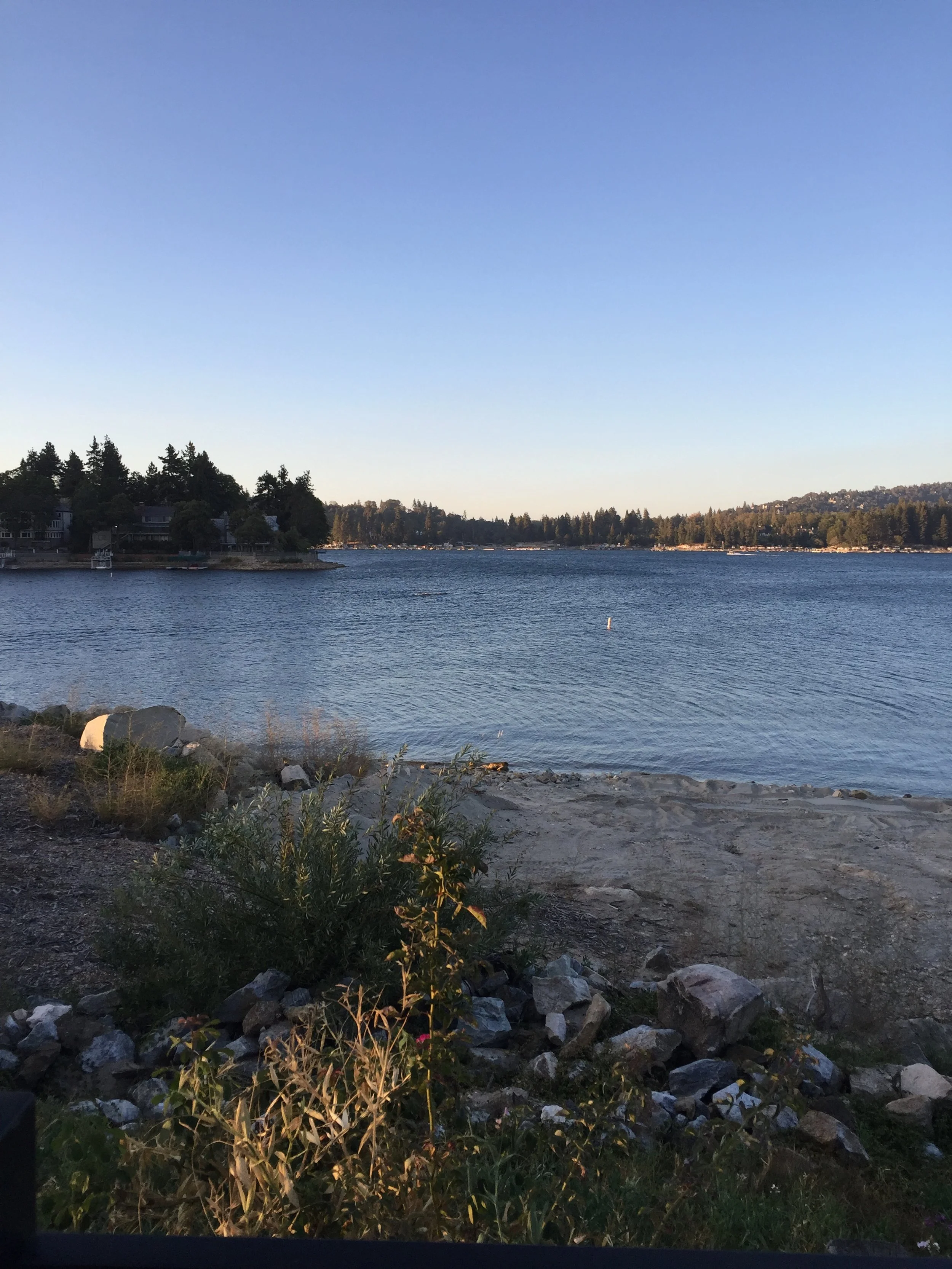 Decisions, Decisions, Decisions