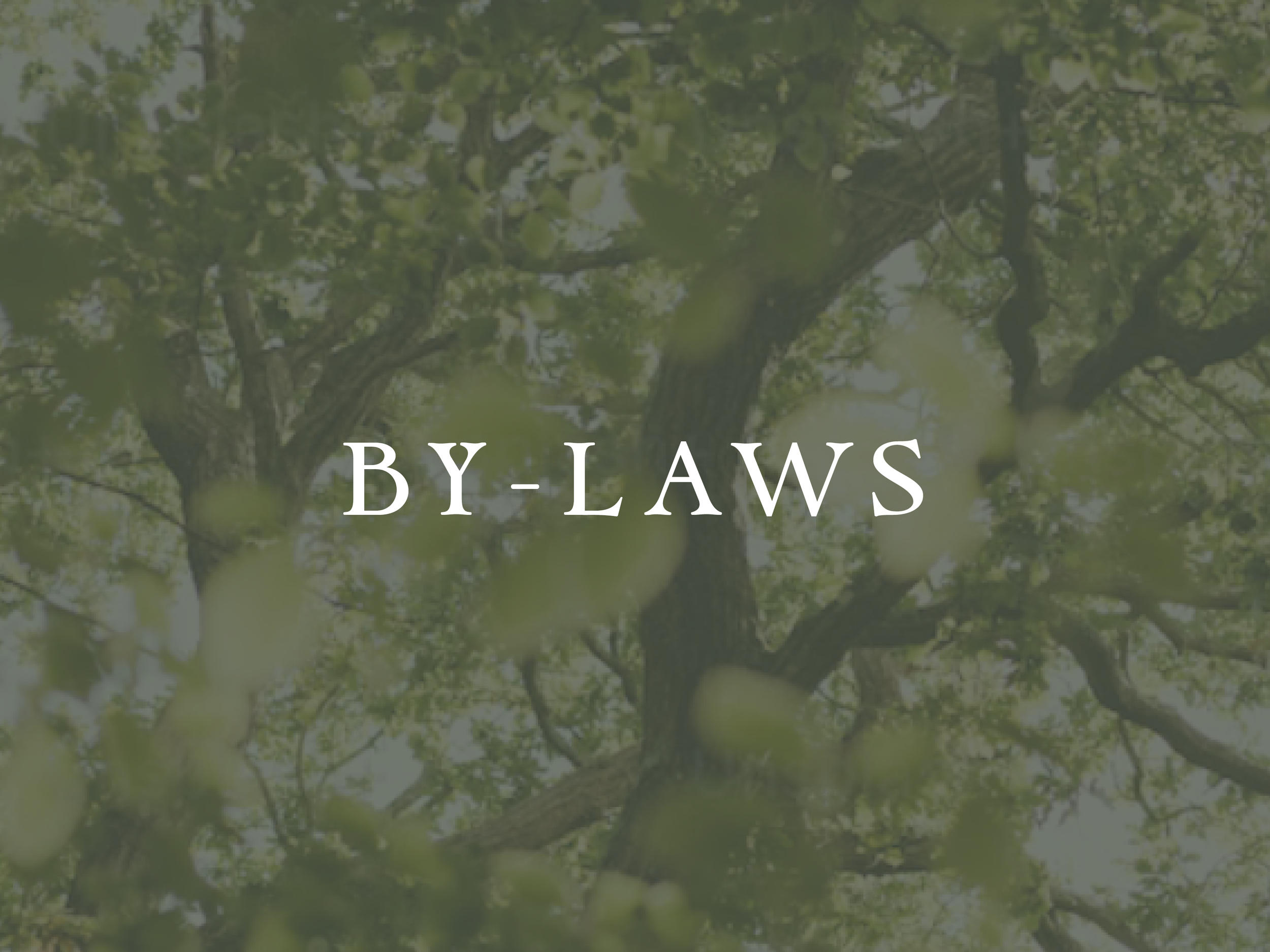 Tree branches and leaves with sunlight streaming through, overlaid with the words 'BY-LAWS' in white capital letters.