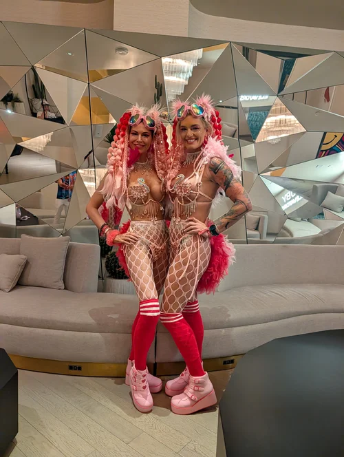 Flamingo Twins